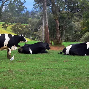 Fort Windshire Nuwara Eliya