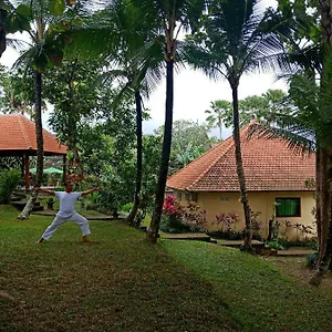 https://argasoka-bungalows.ubudhotelsnow.com